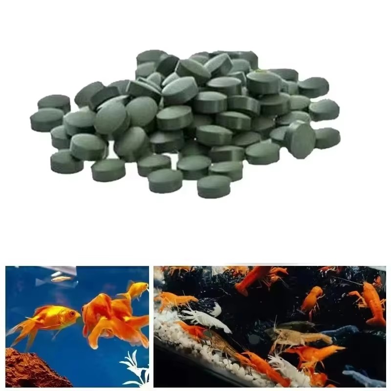 Aquarium Fish Vitamin - 100-3000 comprimés de spiruline de haute