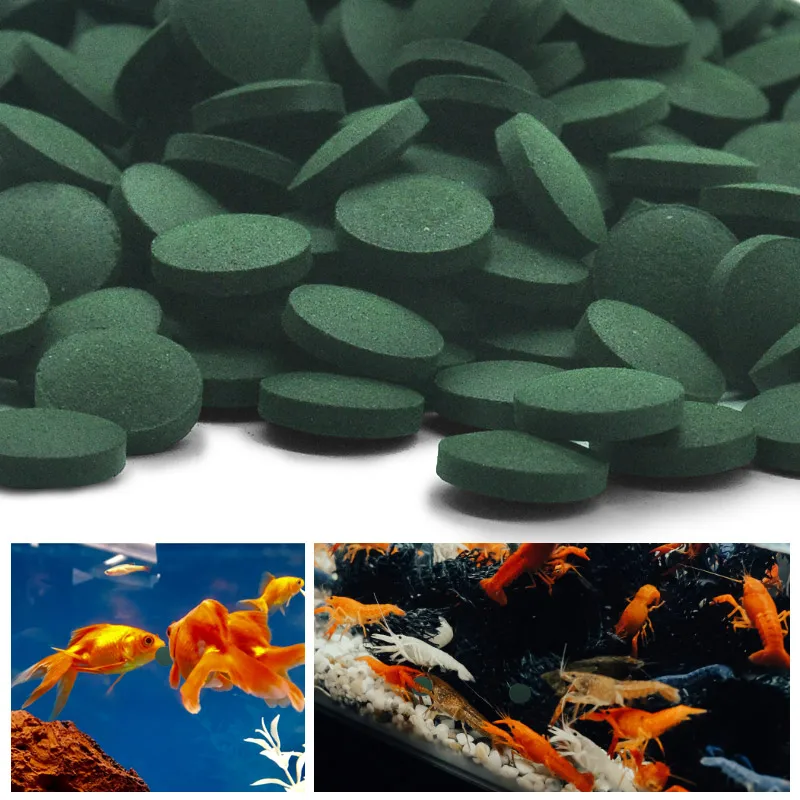 Aquarium Fish Vitamin - 100 pièces comprimés de spiruline de