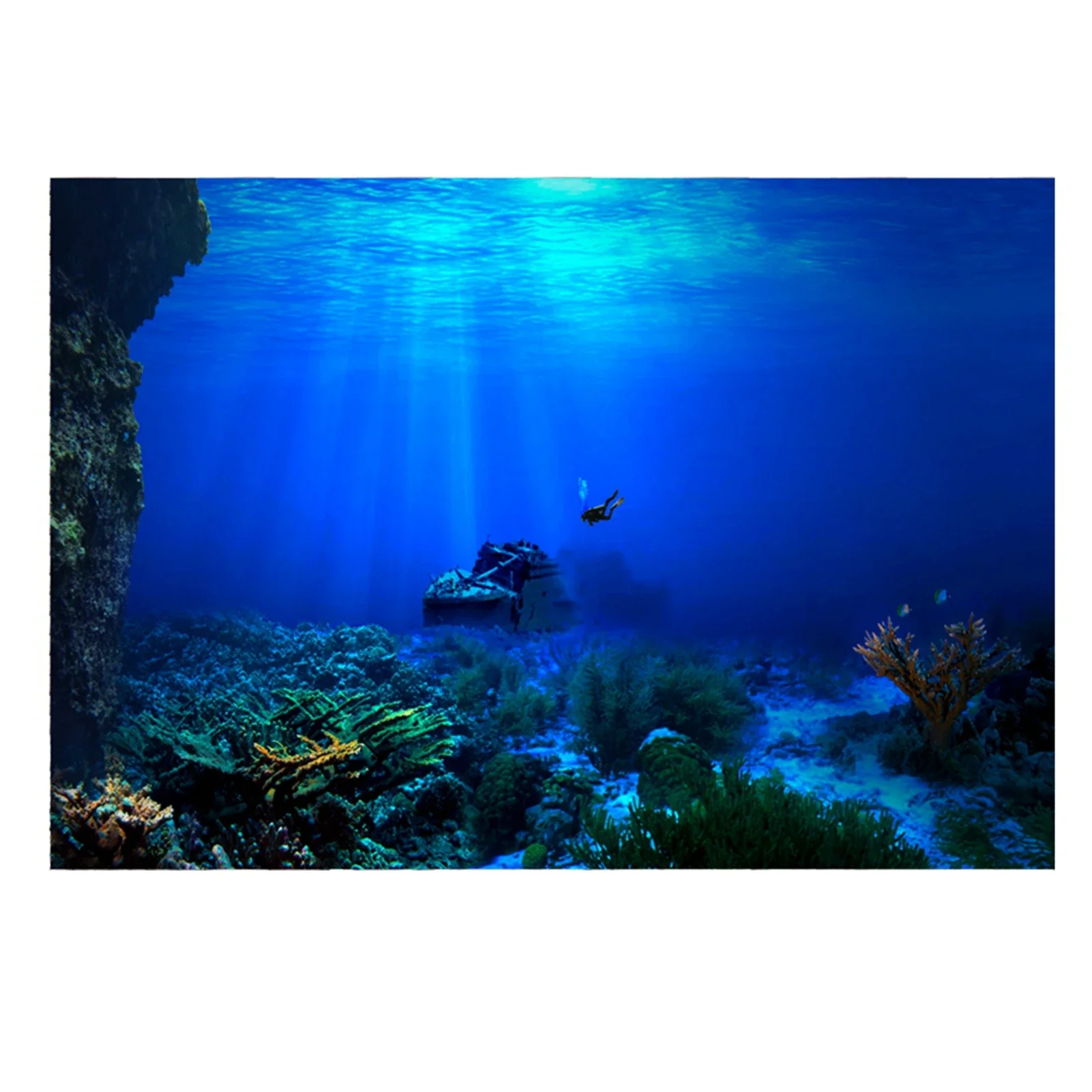 Aquarium Fish Of The World - Affiche de fond d'aquarium de forêt