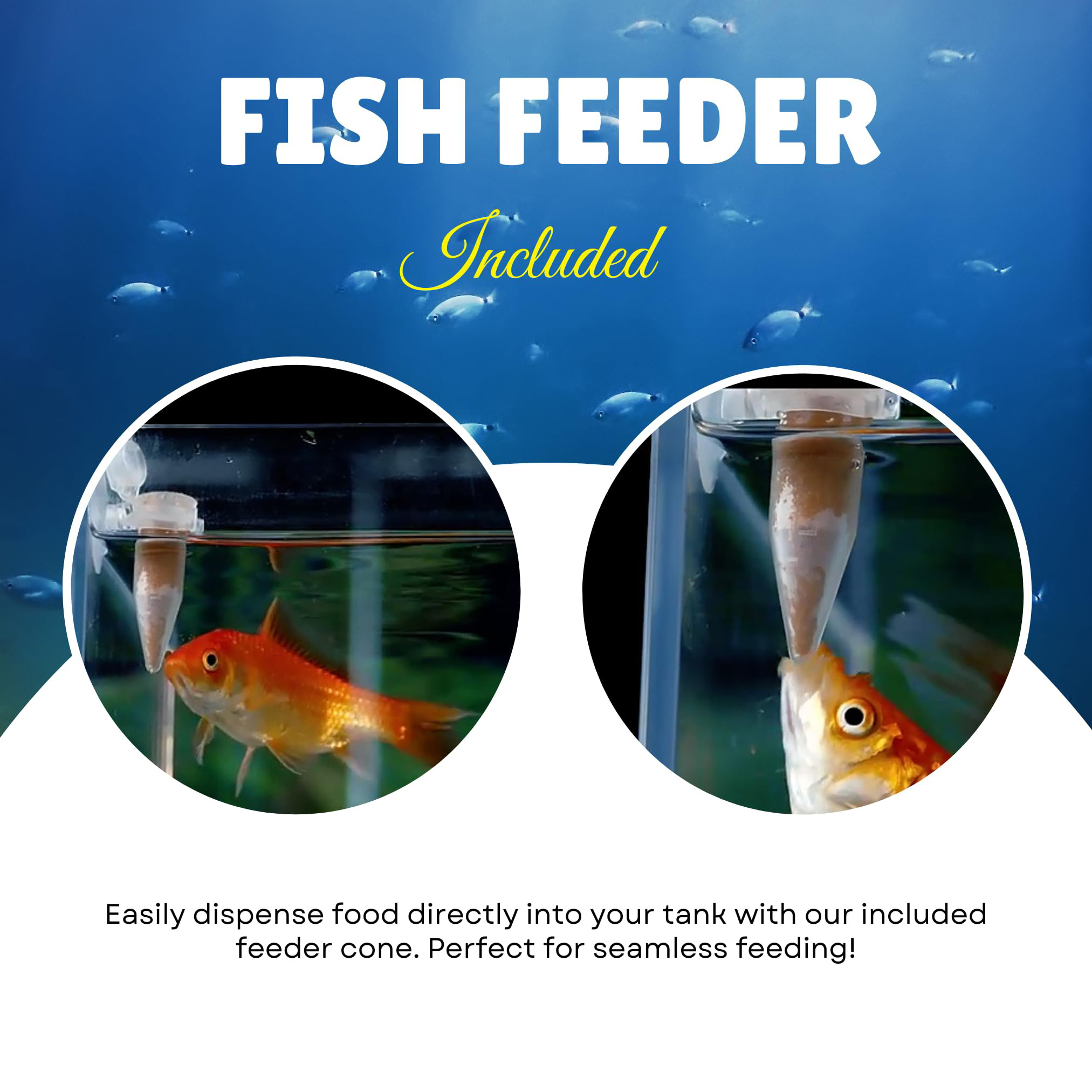 Kit complet d'œufs d'artémia e - Aquarium Fish Vitamin avis et prix