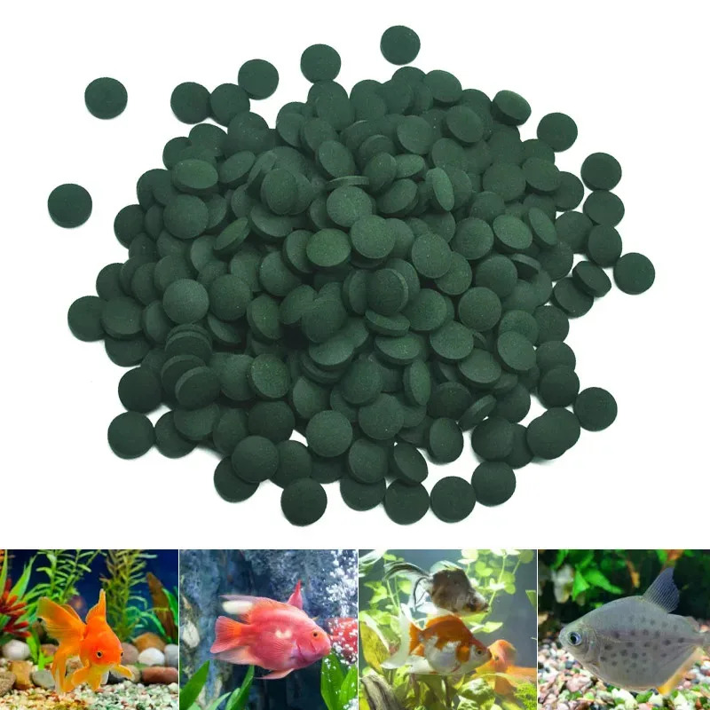 100-3000 comprimés de spirulin - Aquarium Fish Vitamin avis et prix
