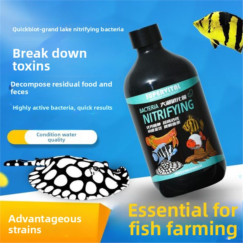 Climatiseur d'eau SUPERVITAL 3 - Aquarium Fish Vitamin avis et prix