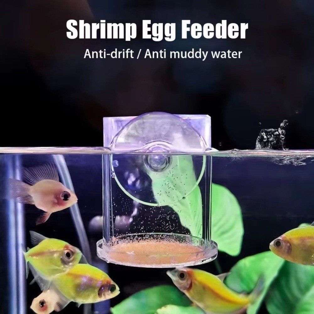 Mangeoire à crevettes en saumu - Aquarium Fish Vitamin avis et prix