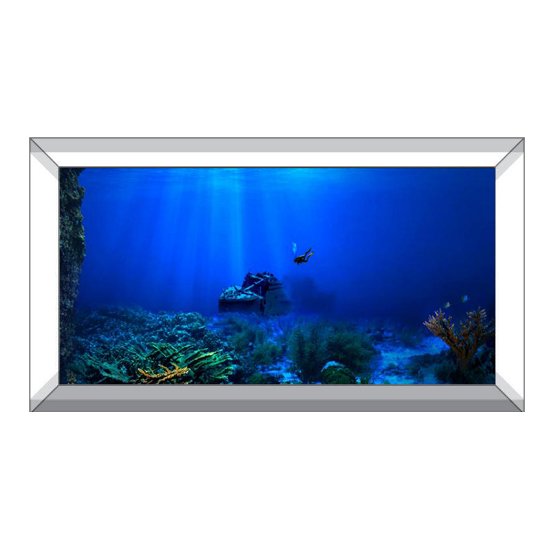 Peinture décorative de fond de - Aquarium Fish Of The World avis et prix
