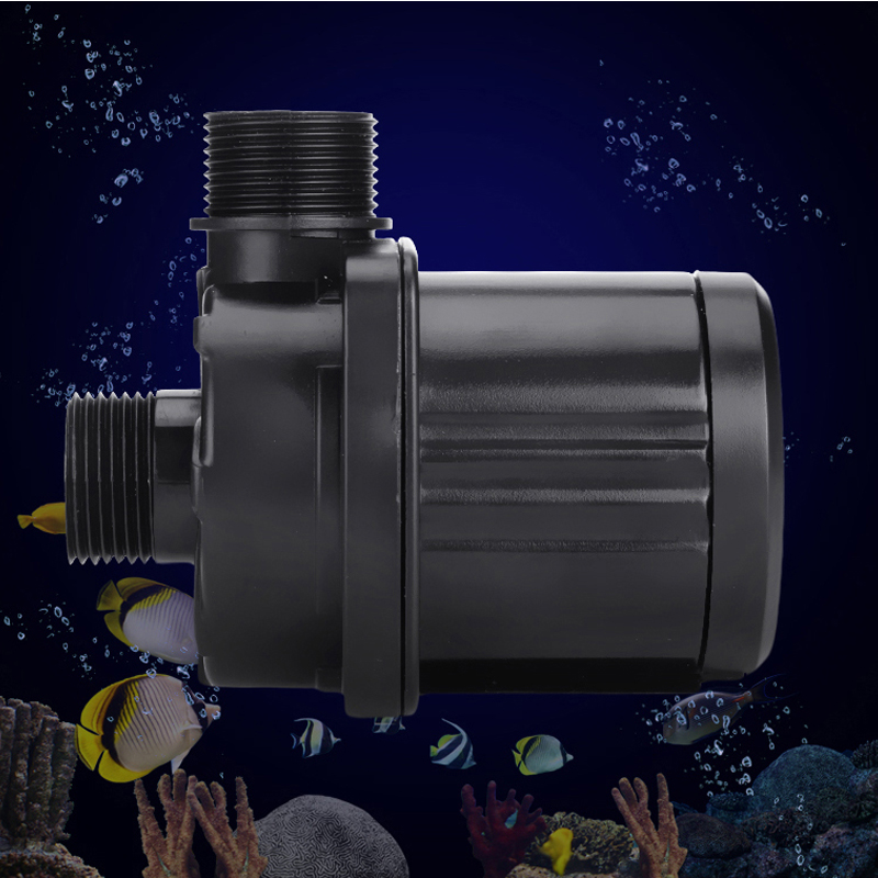110-240V rouge étoile de mer A - Protein Skimmer Reef avis et prix