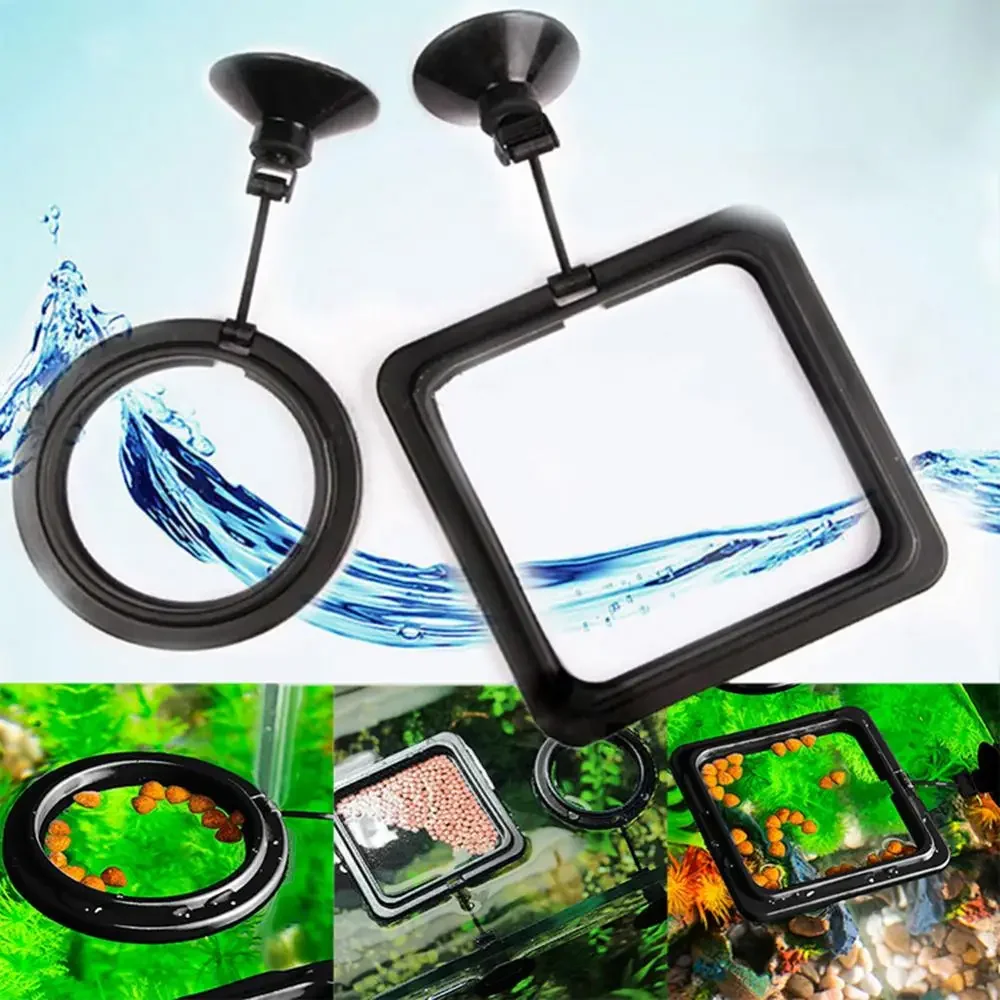 Ventouse d'alimentation pour A - Aquarium Fish Accessories avis et prix