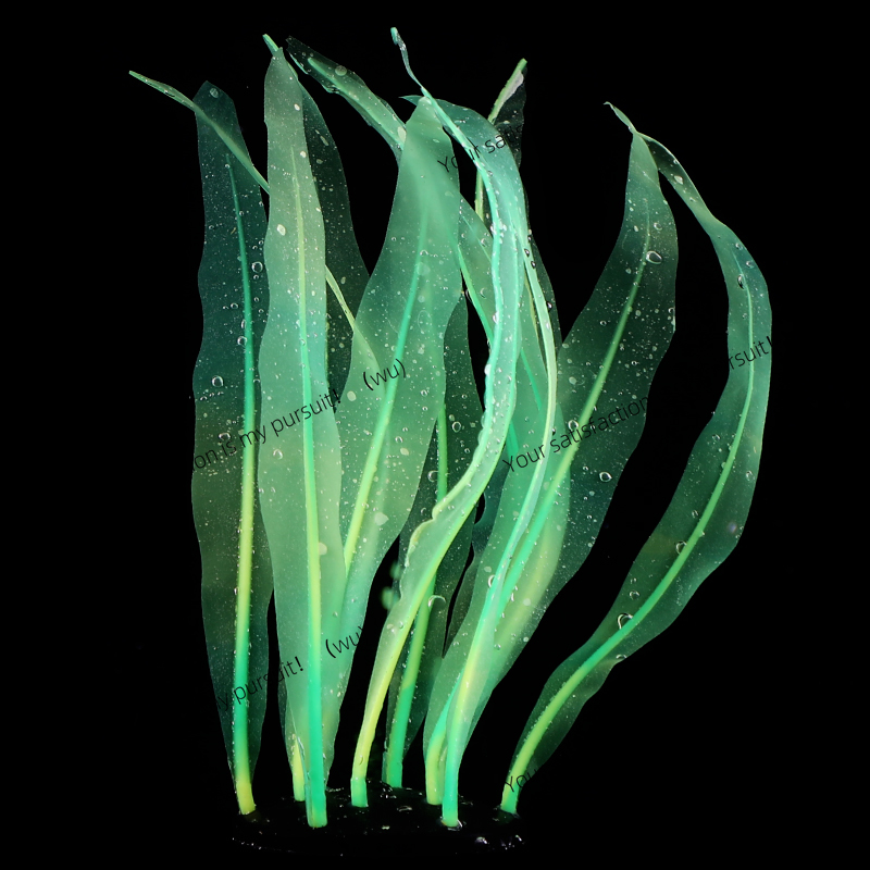 Décoration de plante de varech - Aquarium Fish Of The World avis et prix