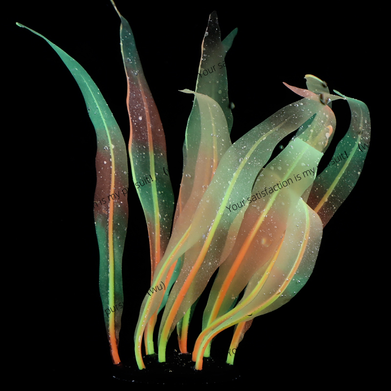 Décoration de plante de varech - Aquarium Fish Of The World avis et prix