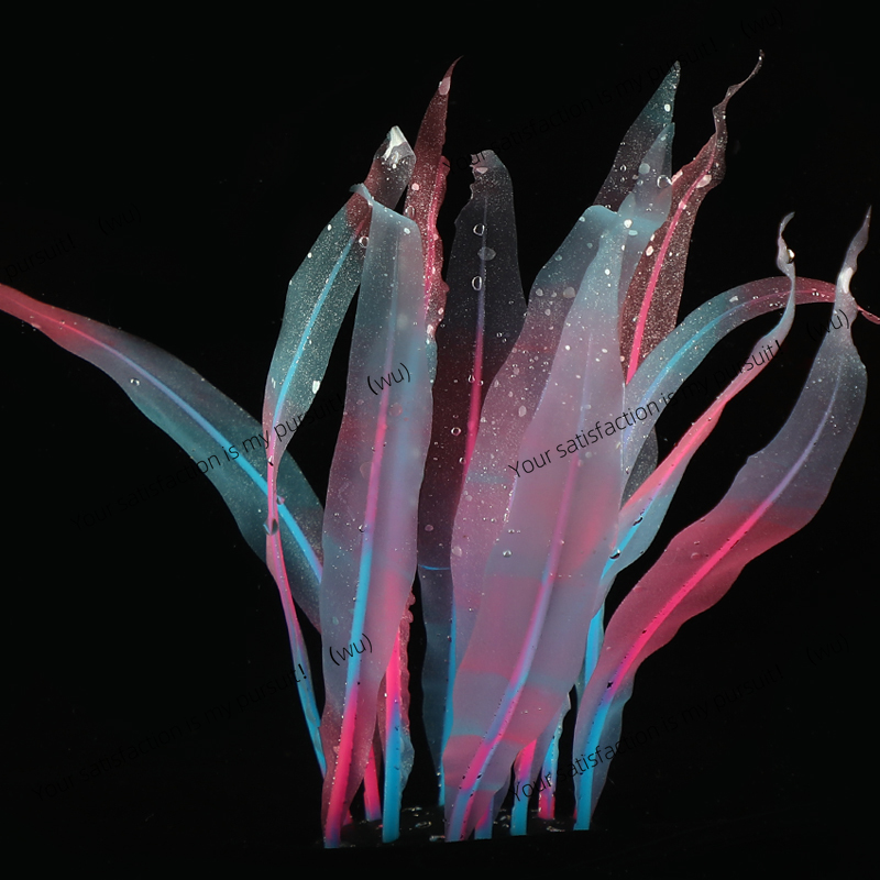 Décoration de plante de varech - Aquarium Fish Of The World avis et prix