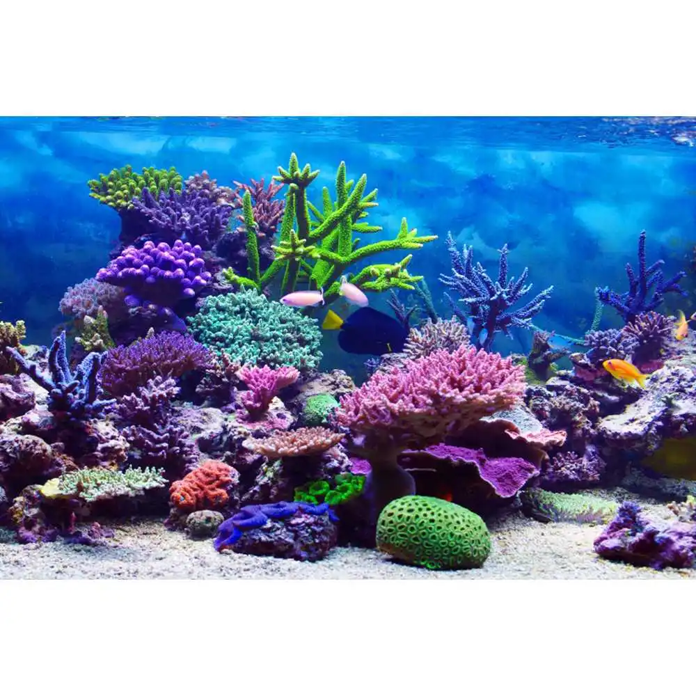 Monde sous-marin, fond marin,  - Aquarium Fish Of The World avis et prix
