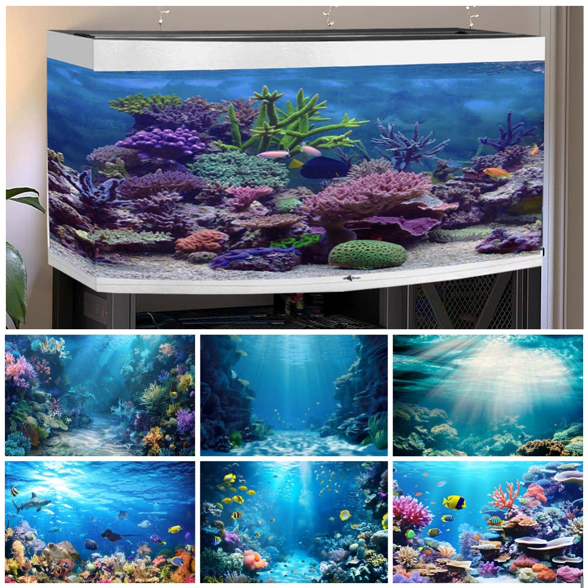 Arrière-plan du monde sous-mar - Aquarium Fish Of The World avis et prix