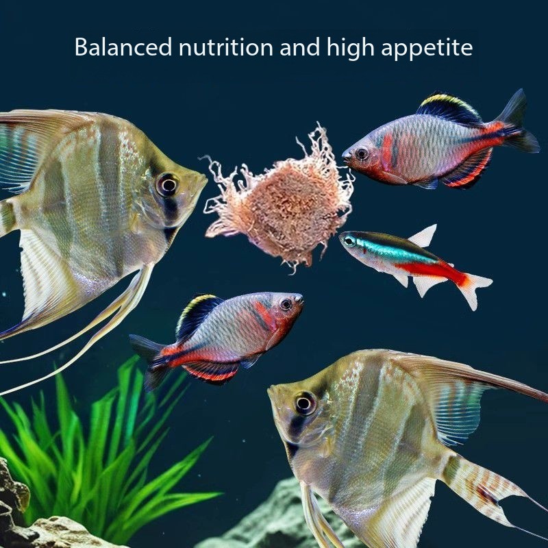 165ML/550ML Vers de sang lyoph - Aquarium Fish Vitamin avis et prix
