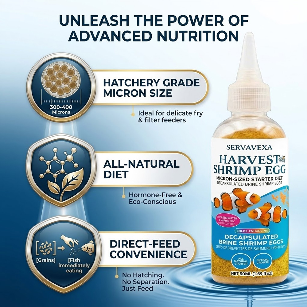 Nourriture pour poissons riche - Aquarium Fish Vitamin avis et prix